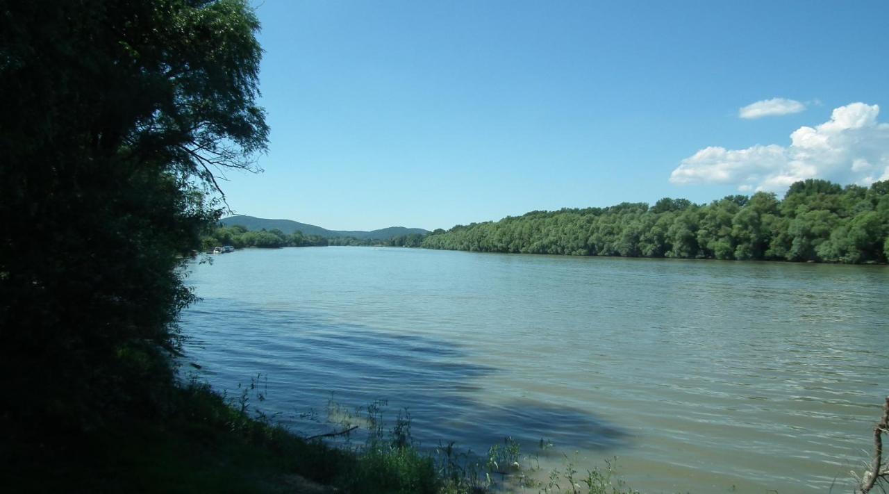 Bonifert Vendégház Dunabogdány Exterior foto