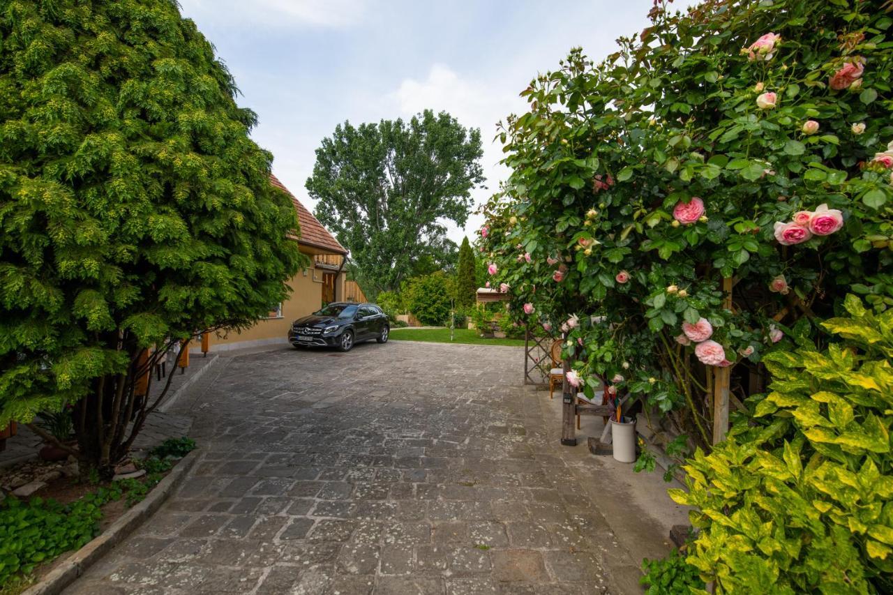 Bonifert Vendégház Dunabogdány Exterior foto