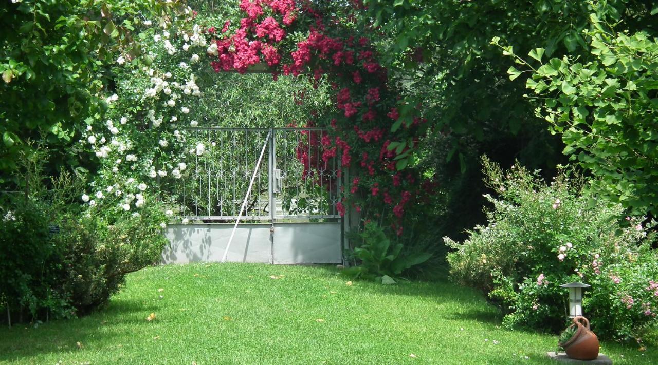 Bonifert Vendégház Dunabogdány Exterior foto
